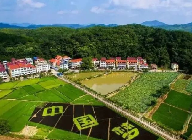 微信截图_20240620105410.png
